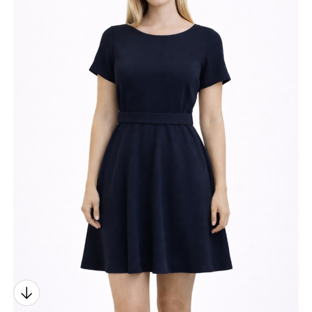 Banana Republic Navy Flounce Dress